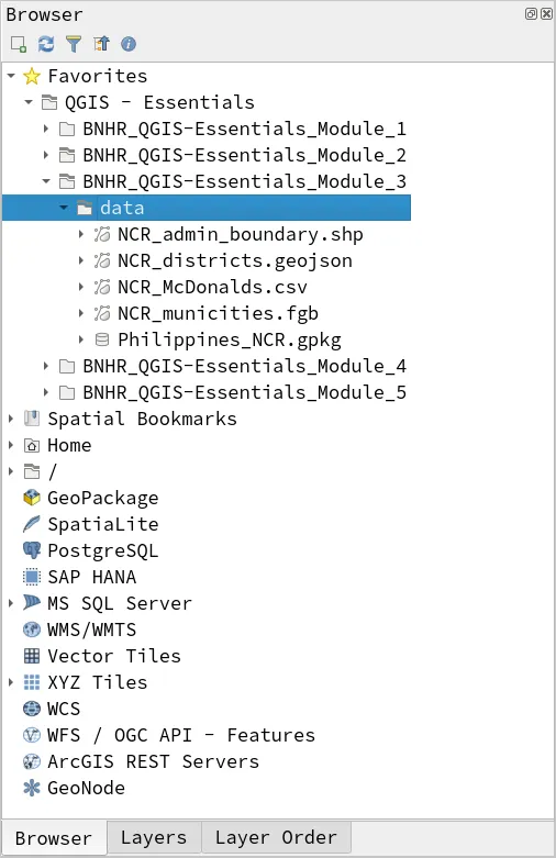 Module data files in the Browser Panel