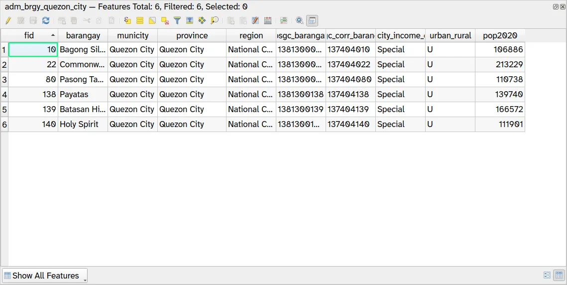 Filter applied to the layer in the attribute table