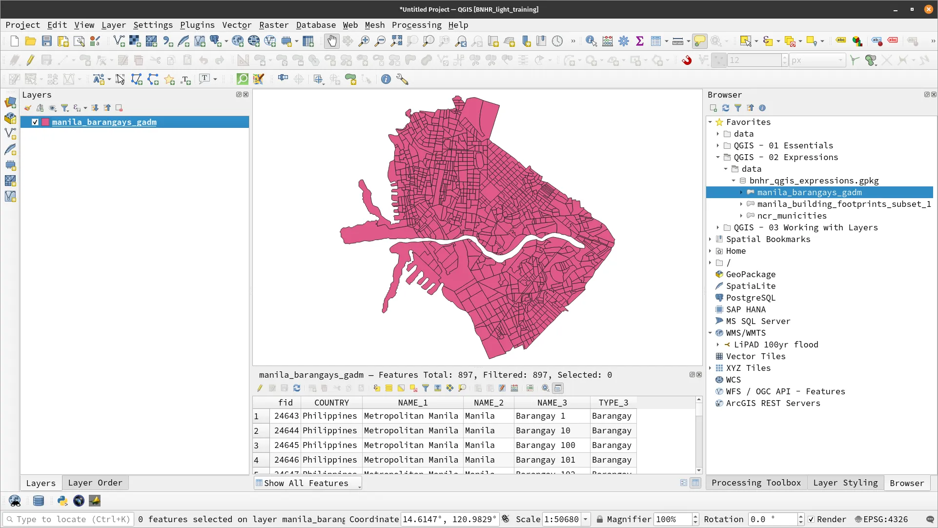 The manila_barangays_gadm layer